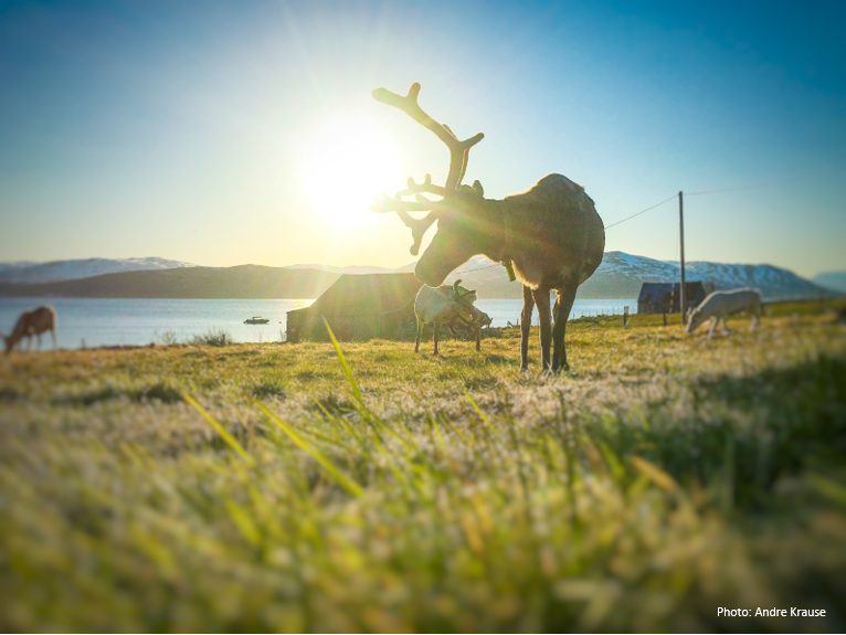 7th APFM in Tromsø, Norway